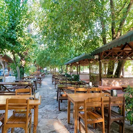 Turkmen Tree 3* Олимпос
