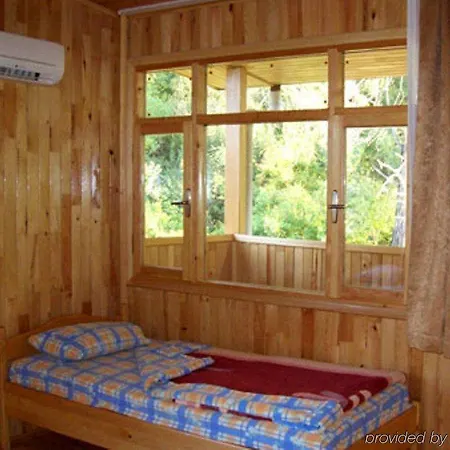 База отдыха Turkmen Tree Олимпос