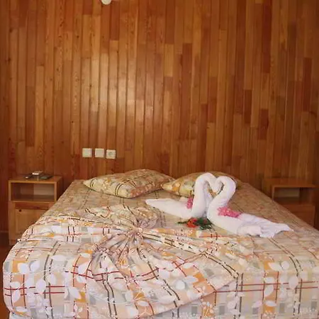 База отдыха Turkmen Tree 3*
