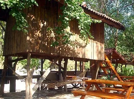 База отдыха Turkmen Tree