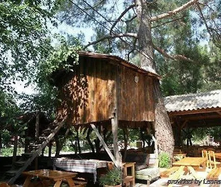 База отдыха Turkmen Tree 3*