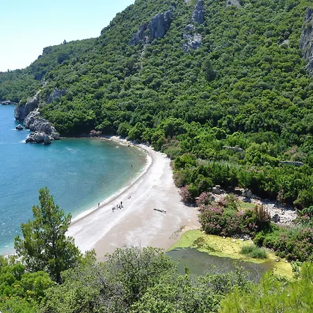 Turkmen Tree База отдыха Олимпос