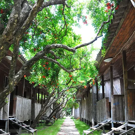 Turkmen Tree 3*