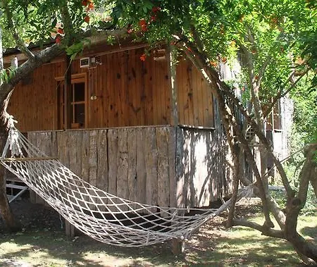 ホリデーパーク Turkmen Tree 3*